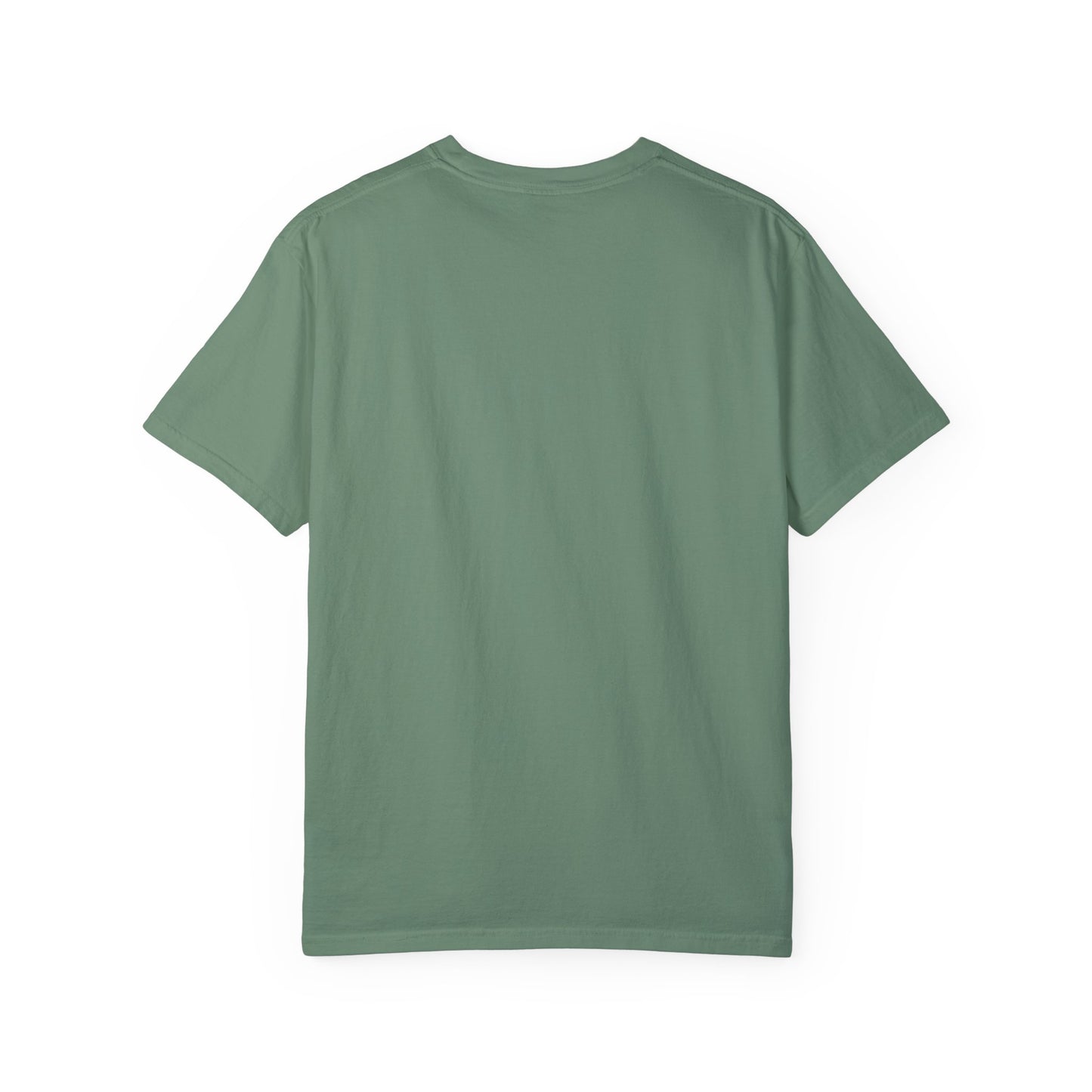 The Loon Of North America Unisex Garment-Dyed T-shirt