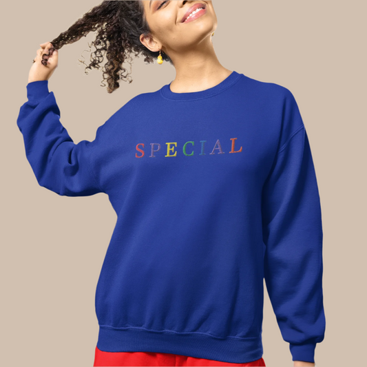 Special Embroidered 90's Crewneck Sweater